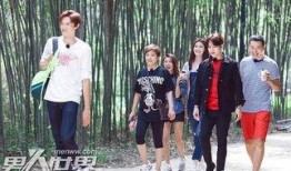 青春旅社在线观看,青春记忆里的温馨时光